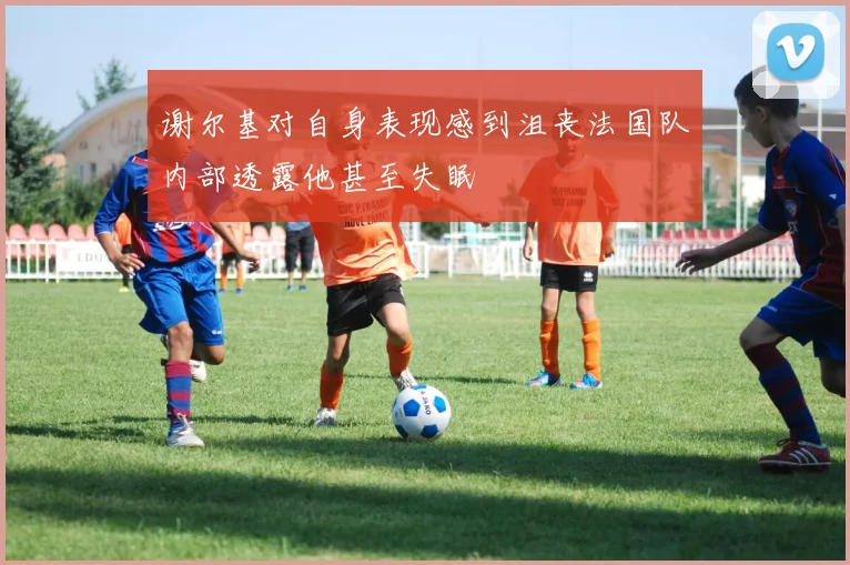 谢尔基对自身表现感到沮丧法国队内部透露他甚至失眠